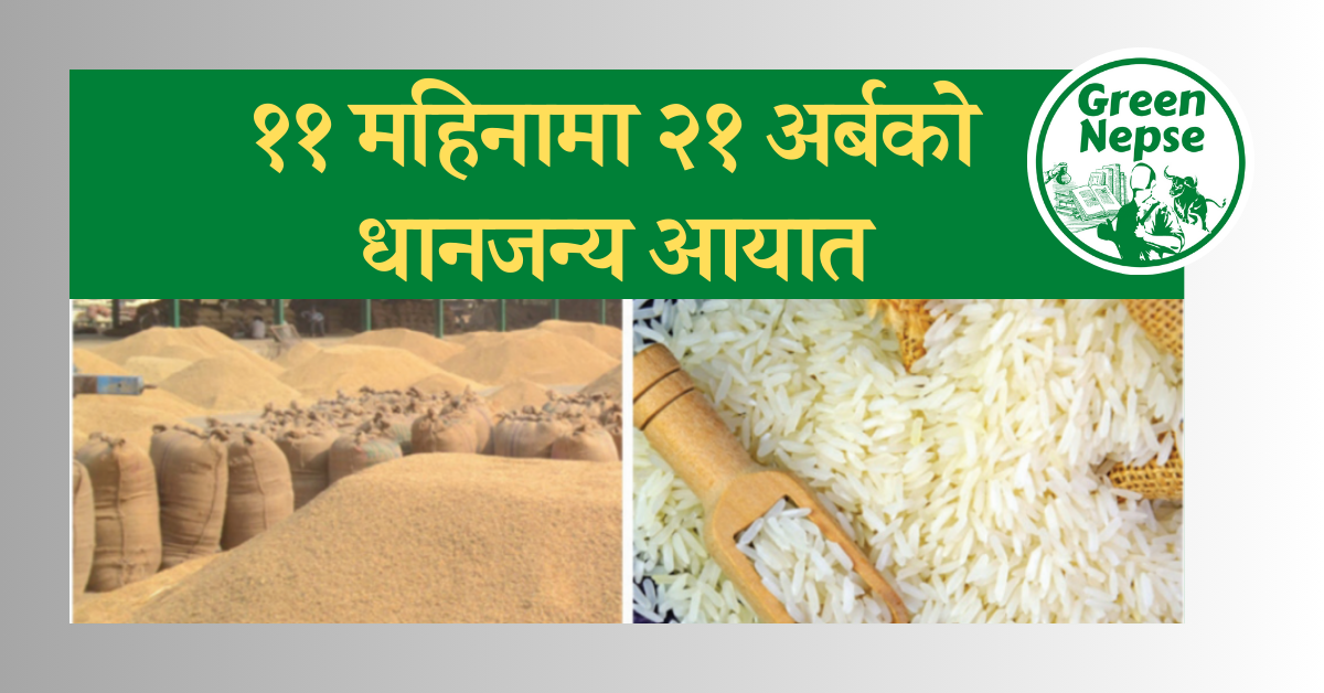 ११ महिनामा २१ अर्बको धानजन्य आयात 1 Post Thubnail 1