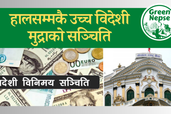 ११ महिनामा विदेशी मुद्राको सञ्चिति १९ खर्ब ६७ अर्ब Foreign-Exchange-reserve-binimaya-sanchiti