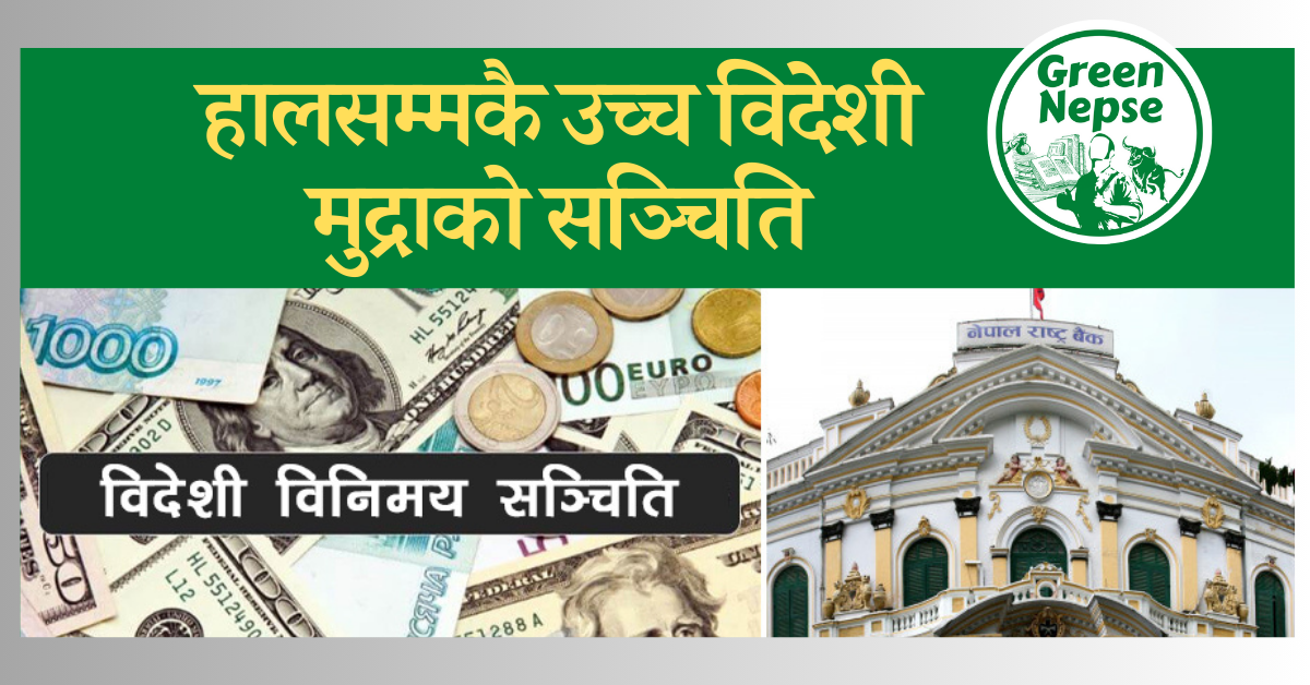 ११ महिनामा विदेशी मुद्राको सञ्चिति १९ खर्ब ६७ अर्ब 1 Foreign-Exchange-reserve-binimaya-sanchiti